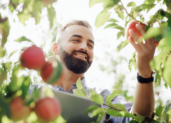 servicios ganaderos agrícolas